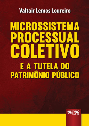 Microssistema Processual Coletivo e a Tutela do Patrimônio Público