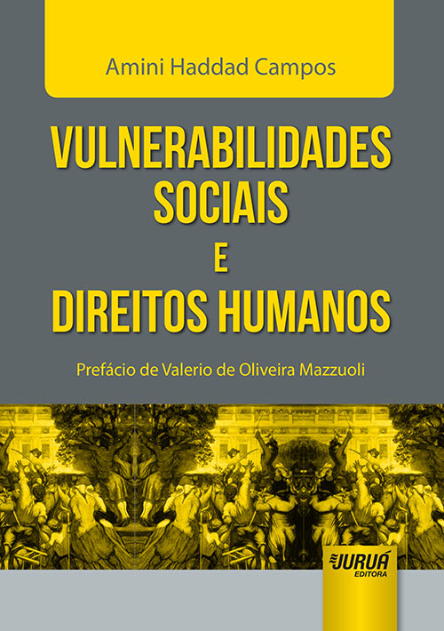 Vulnerabilidades Sociais e Direitos Humanos - Prefácio de Valerio de Oliveira Mazzuoli